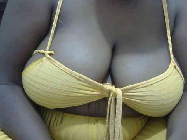 Modelo: big-tirries