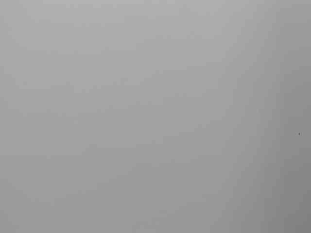 sarah-temptation webcam