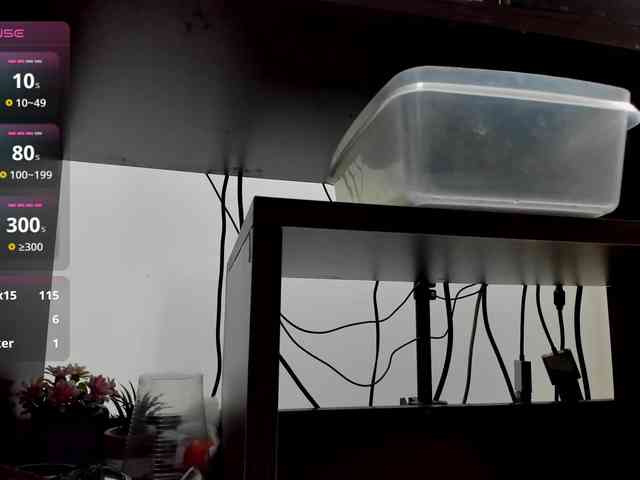 sarah-temptation webcam