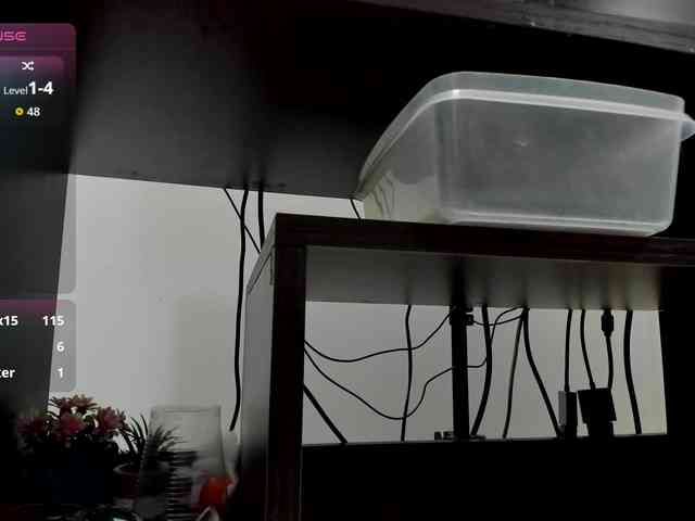 sarah-temptation webcam