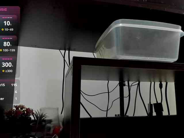 sarah-temptation webcam