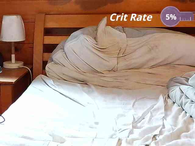 Hanssexchat2