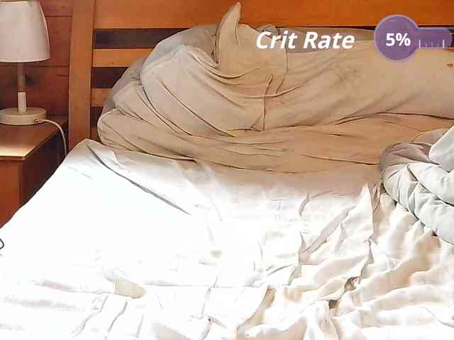 Hanssexchat2