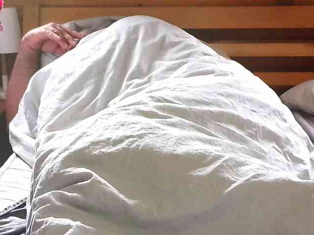 Hanssexchat2 Hanssexchat2