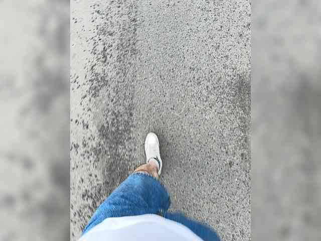 Shxhcrru