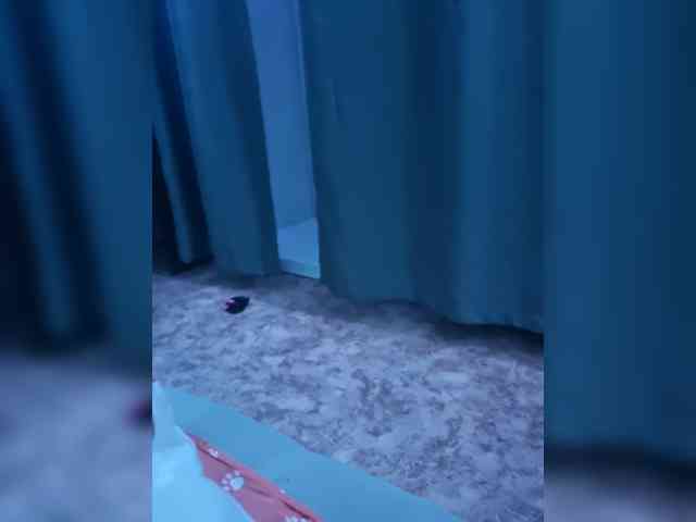 PORNOOWOOWW webcam