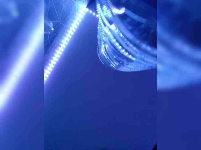 PORNOOWOOWW webcam