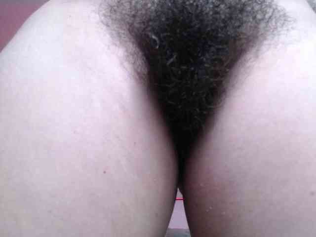 HairyValeri webcam