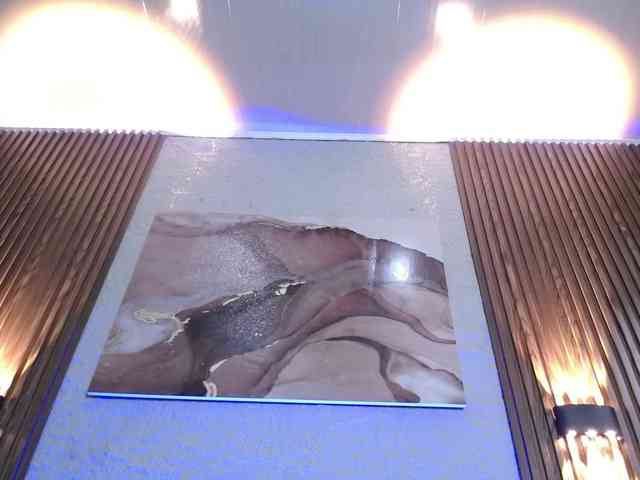 HairyValeri webcam