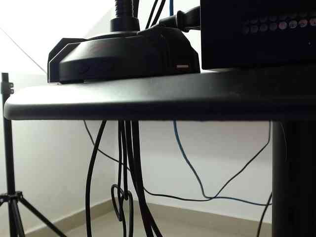 HairyValeri webcam