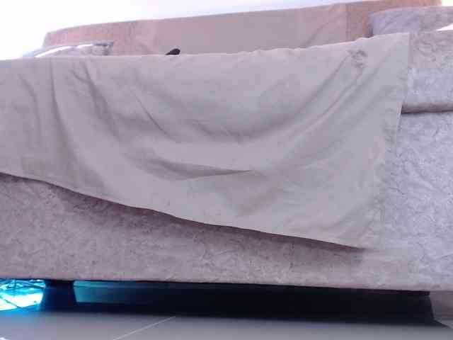 HairyValeri webcam