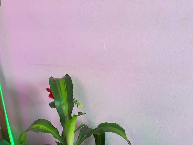 EllenaBoobs live cam on BongaCams