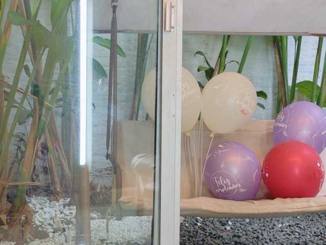 SCARLETTE04 live cam on BongaCams