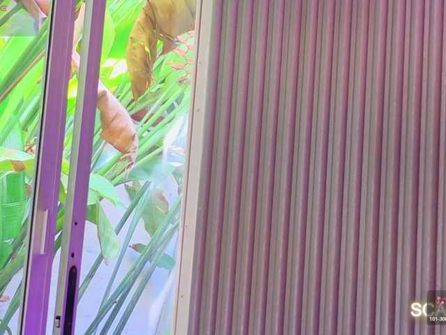 SCARLETTE04 live cam on BongaCams