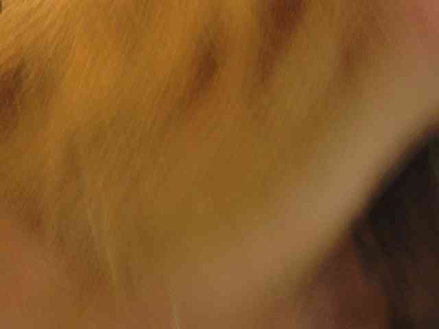 SCARLETTE04 webcam