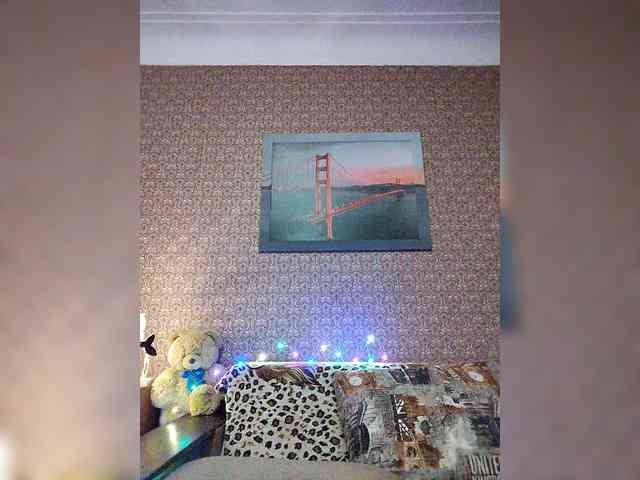 Mozaika webcam