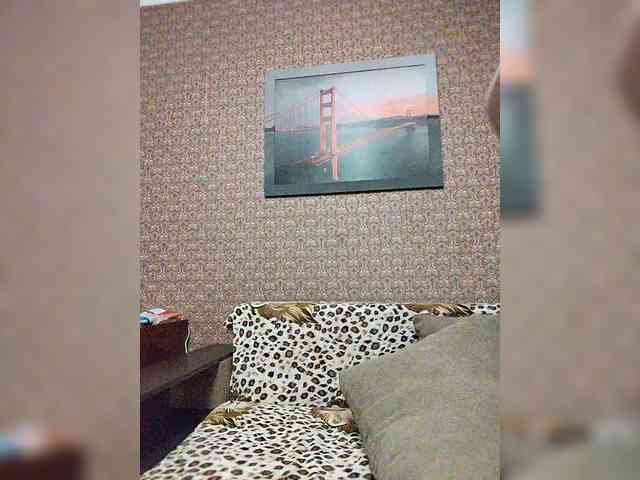 Mozaika webcam