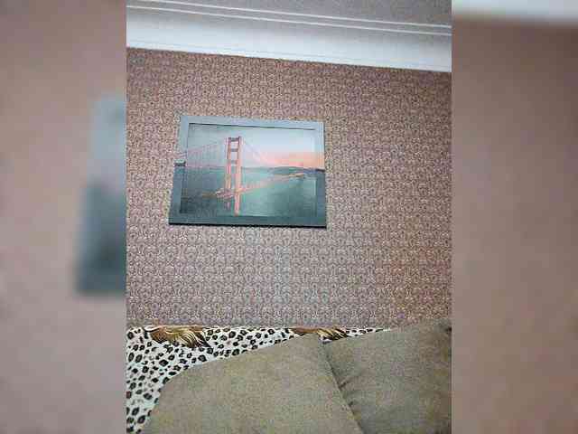 Mozaika webcam