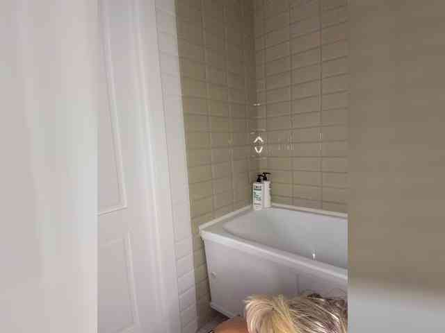 Hollena webcam