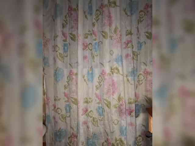Hollena webcam