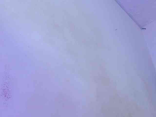 Allizon-star1 webcam