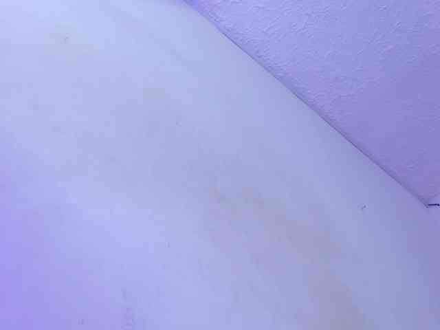 Allizon-star1 webcam