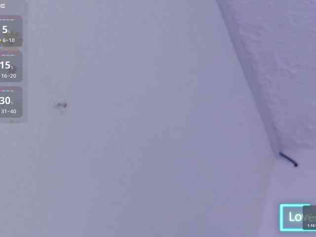 Allizon-star1 webcam