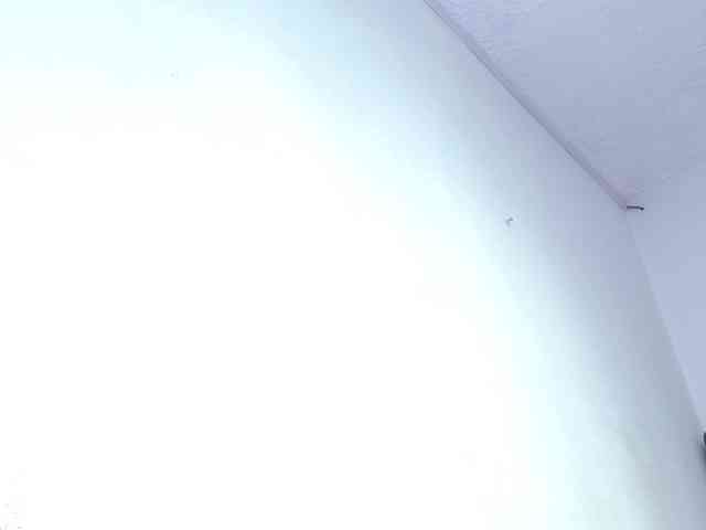 Allizon-star1 webcam