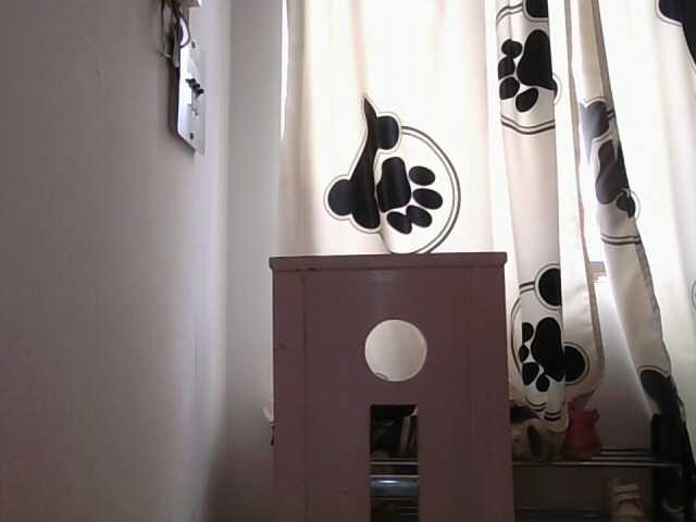 XiomaraSmith4