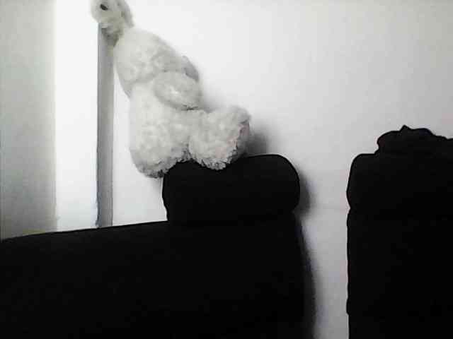 XiomaraSmith4 webcam