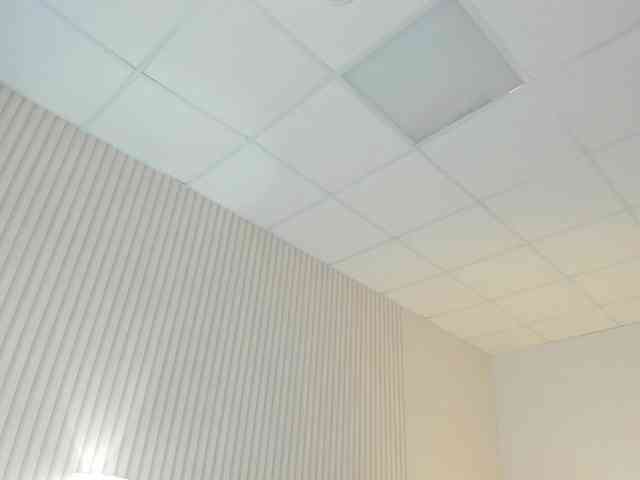 Vanessa-Walters webcam