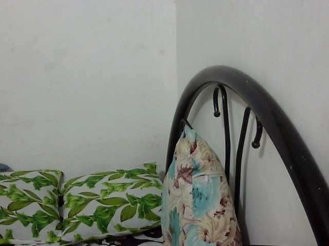 Bunnygreen