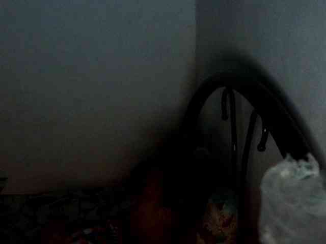 Bunnygreen webcam