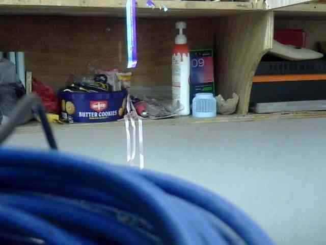 Bunnygreen webcam