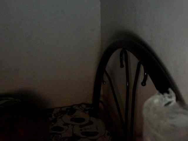 Bunnygreen webcam