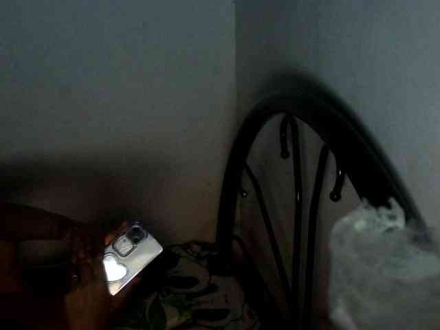 Bunnygreen webcam