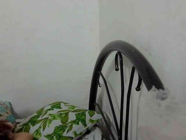 Bunnygreen webcam