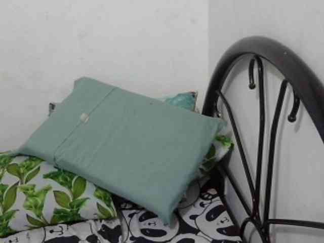 Bunnygreen webcam