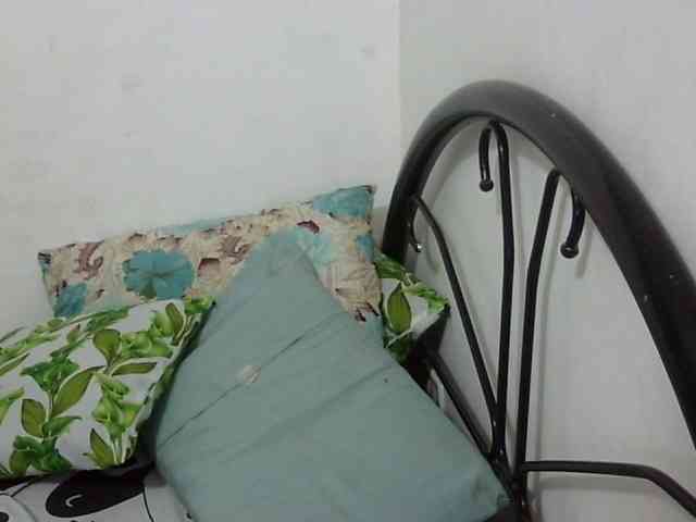 Bunnygreen webcam