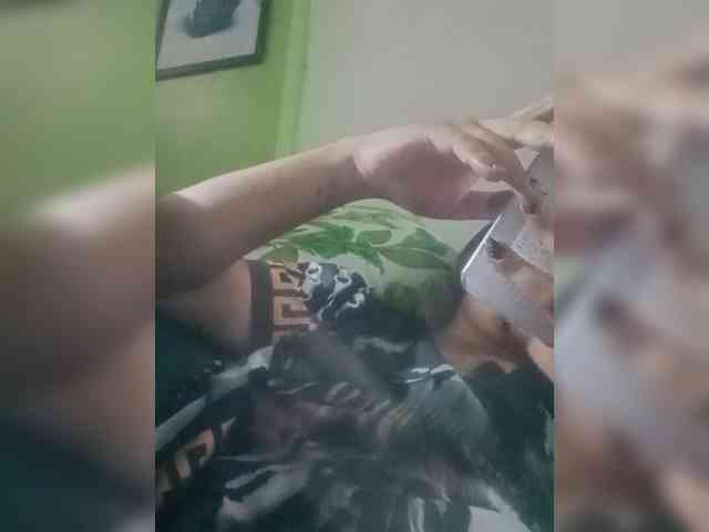 Bunnygreen webcam