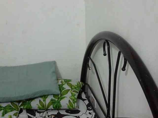 Bunnygreen webcam