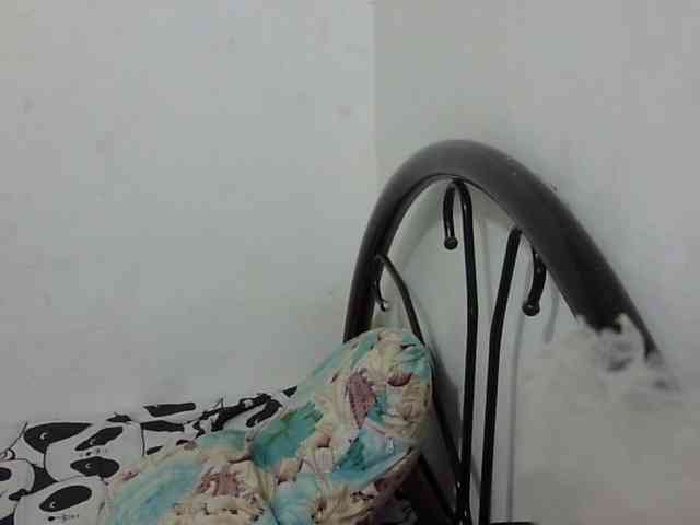 Bunnygreen webcam