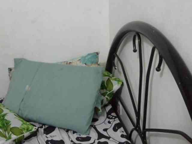 Bunnygreen webcam