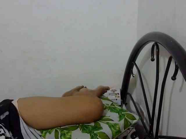 Bunnygreen webcam