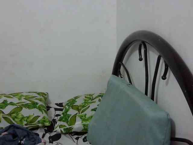 Bunnygreen webcam