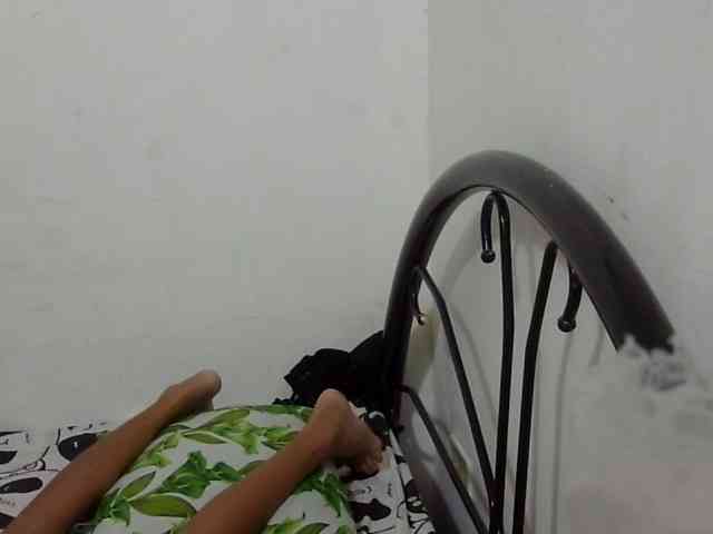 Bunnygreen webcam