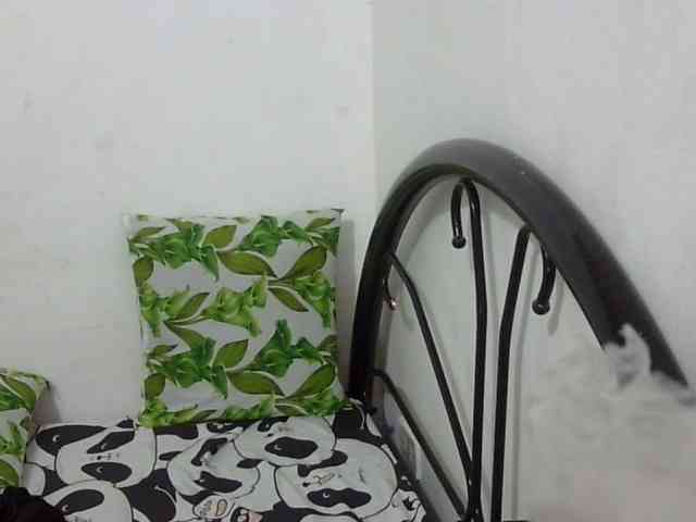 Bunnygreen webcam