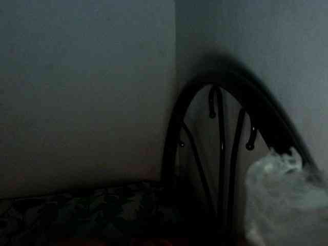 Bunnygreen webcam