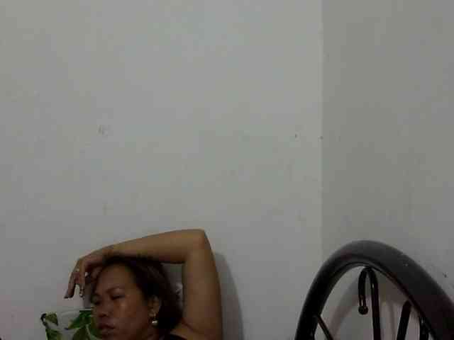 Bunnygreen webcam
