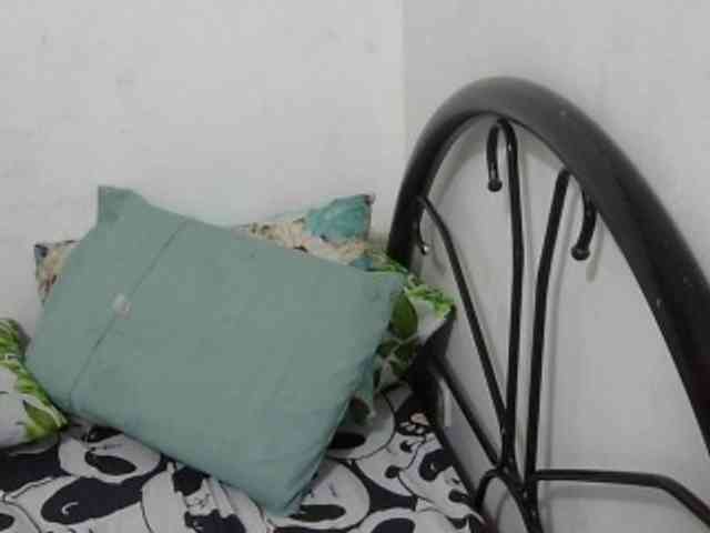Bunnygreen webcam